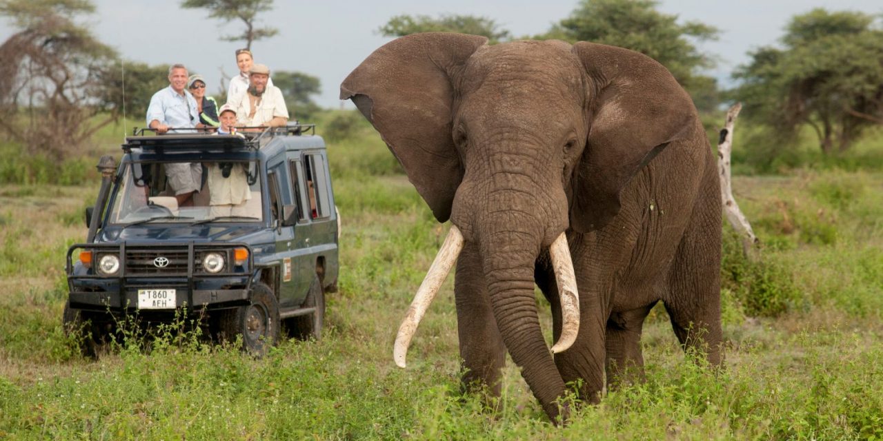Discover the 7 Best Destinations for Safaris in Africa