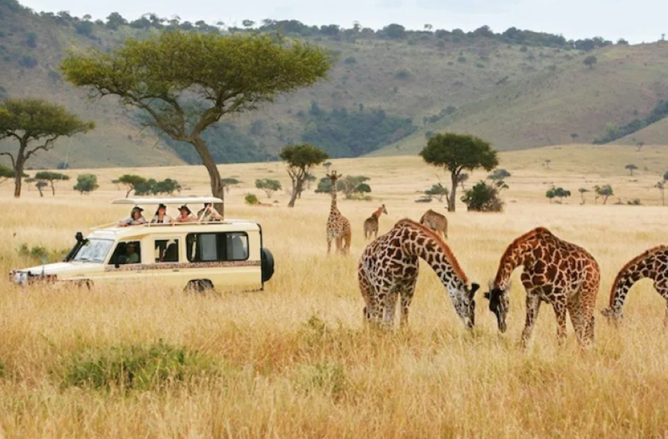 Embracing Slow Travel With Luxury African Safari Tours